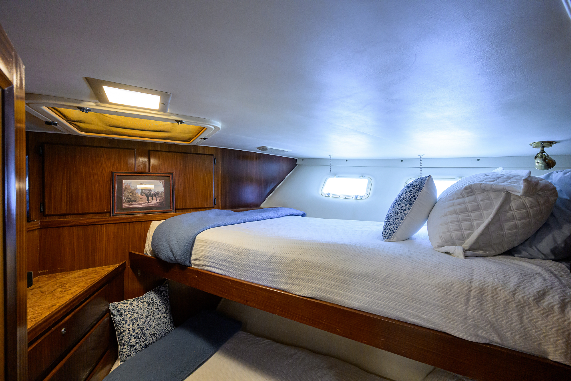 Forever Young yacht photo 117